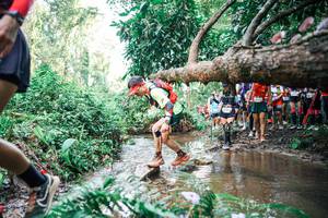 BIB: 
                            <button type="button" onclick="openModal(25516570)" class="btn btn-primary btn-sm float-right btn-popup" data-toggle="modal" data-target=".modal-high-quality">
                        <i class="fas fa-shopping-cart"></i> Add to Cart
                    </button>
                                            <button type="button" onclick="isThisMe(25516570, true)" class="btn btn-success btn-sm float-right btn-popup btn-isme hidden" data-toggle="tooltip" data-placement="bottom" title="นี่คือรูปของคุณใช่ไหม คลิกที่นี่เพื่อเอาเข้าอัลบั้ม">
                        <i class="fas fa-plus"></i> Add to album
                    </button>
                    <button type="button" onclick="isThisMe(25516570, false)" class="btn btn-warning btn-sm float-right btn-popup btn-isnotme hidden">
                        <i class="fas fa-ban"></i> Remove from album
                    </button>